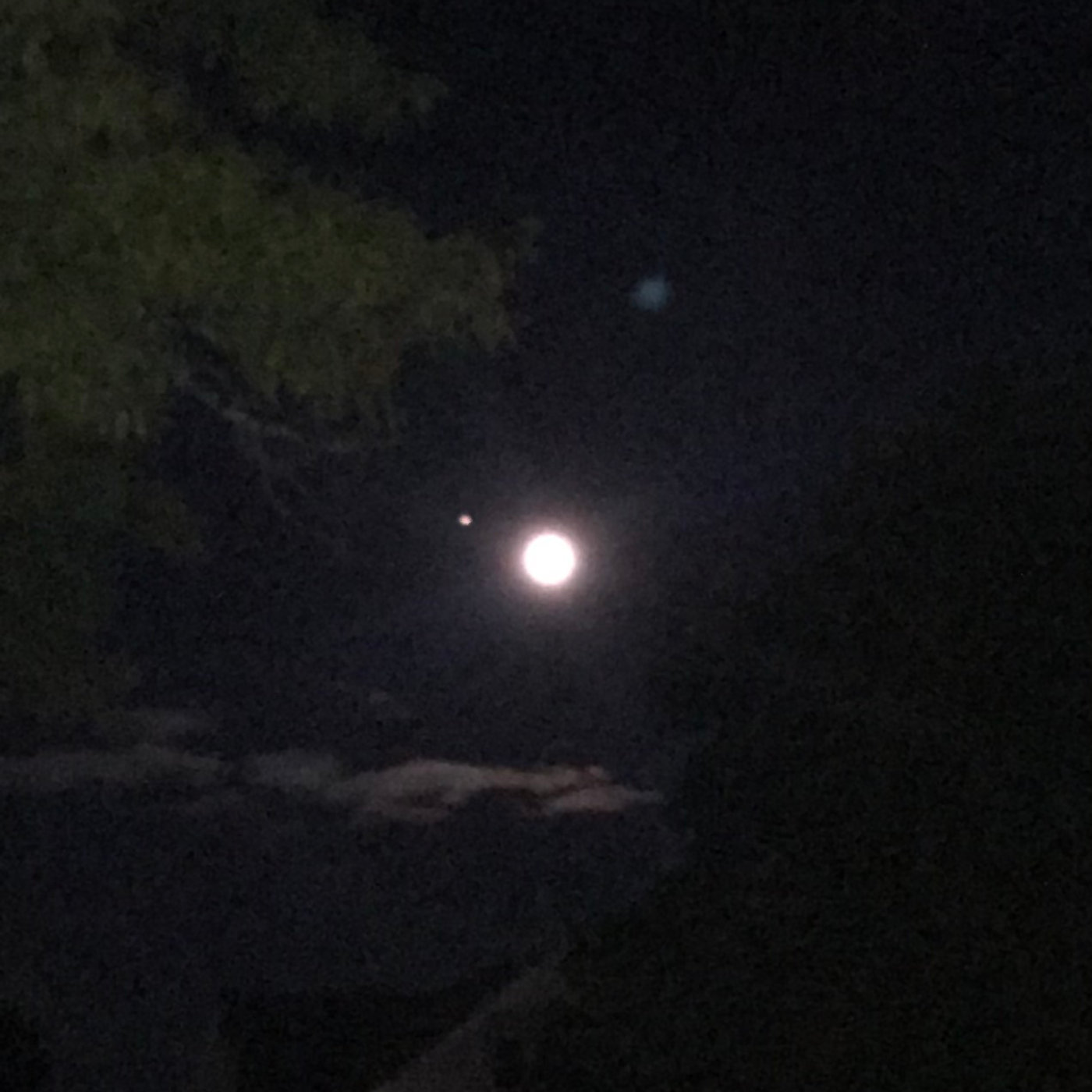 Moon over trees in Northeastern Pennsylvania.